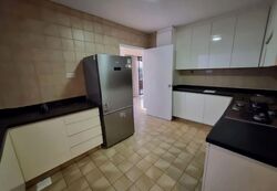 The Cairnhill (D9), Condominium #599723521